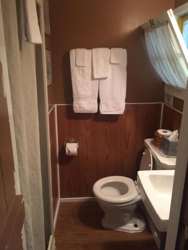 乔治湖Amber Lantern Duplex Cottage的浴室配有卫生间、水槽和毛巾。