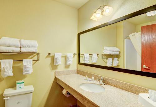 鹅卵石套房酒店 - 普克苏托尼的一间浴室