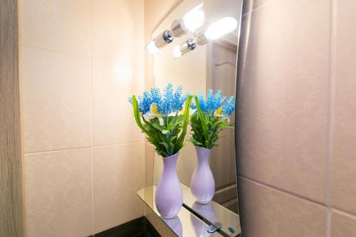 苏梅VIP Apartment on Novomestenskaya的浴室内两瓶紫花瓶,放在架子上