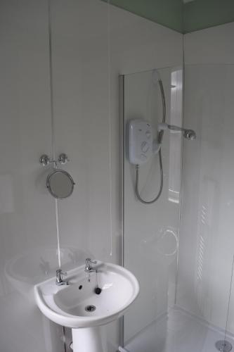 阿尔斯通坎伯兰宾馆的白色的浴室设有水槽和淋浴。