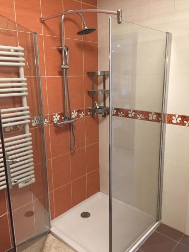 ApachAppartement des trois frontières的浴室里设有玻璃门淋浴