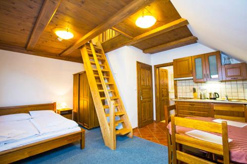捷克布杰约维采乌达特尼公寓的一间卧室配有一张双层床和梯子