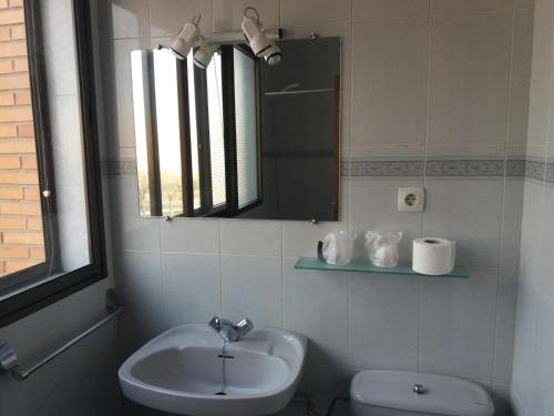 巴利亚多利德Centro San Viator的一间带水槽、镜子和卫生间的浴室
