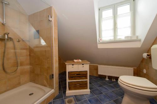 博希尼Rustic House 13的浴室配有卫生间、淋浴和盥洗盆。