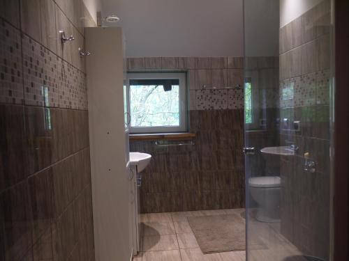 WójtowiceApartament U Dudka的一间带水槽和卫生间的浴室以及窗户。