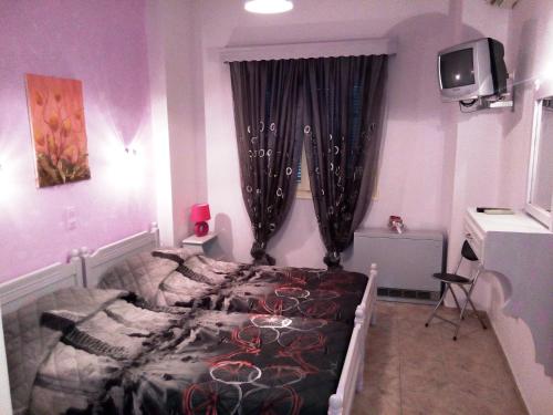 斯基亚索斯镇Skiathos city views studios-apartments的卧室配有一张床,墙上配有电视。