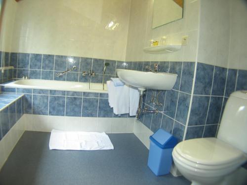 佩迪特斯-泰勒斯奥克斯玛索泰斯酒店的浴室配有盥洗盆、卫生间和浴缸。