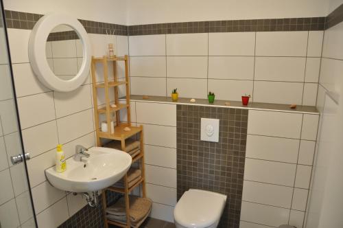 费尔贝特Ferienwohnung Weitblick的一间带水槽、卫生间和镜子的浴室