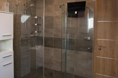 斯拉沃尼采Hotel Hubert的浴室里设有玻璃门淋浴