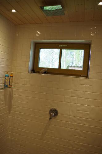 AntslaÖöbiku Holiday House的带淋浴的浴室和窗户