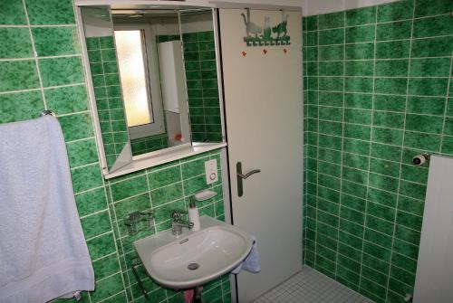 达沃斯达沃斯公寓的绿色瓷砖浴室设有水槽和镜子