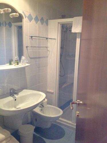 托里德尔贝纳科Hotel Belvedere的白色的浴室设有水槽和淋浴。