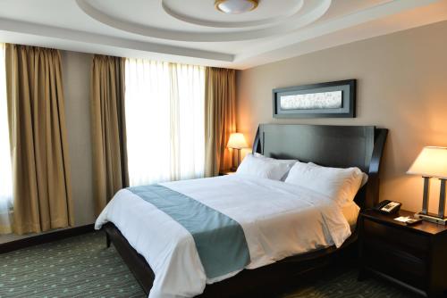 特古西加尔巴胡安卡洛斯广场酒店的一间位于酒店客房内的带大床的卧室