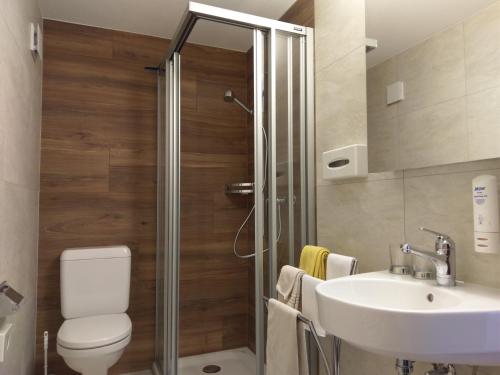 泽尼根阿尔本布利克酒店的带淋浴、卫生间和盥洗盆的浴室
