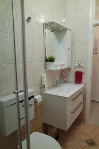 诺瓦利娅Apartments Jadranka的一间带水槽、卫生间和镜子的浴室