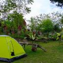 Genius Level Only Camp