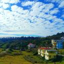 Kodai Forest Villas - A Unit of Starlight Hotels