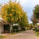 hu Firenze Camping in Town