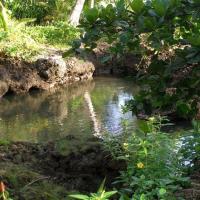 Piscina Natural on the Sea，位于卡维塔的酒店