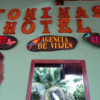 Toninas Hotel，位于Inírida的酒店