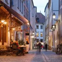 Hotel Orphée - Großes Haus，位于雷根斯堡的酒店