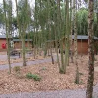 雷丁斯伍德山林小屋露营地，位于奥尔弗里顿的酒店