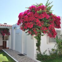 Apartamentos Costa，位于卡帕里卡海岸的酒店