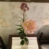 Berte Bed&Breakfast，位于Slöinge的酒店