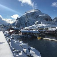 Lofoten Fishing，位于奥镇Værøy Heliport - VRY附近的酒店