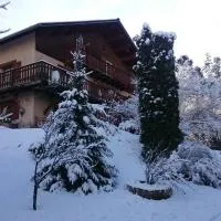 appartement indépendant chalet "les Ormes"，位于Enchastrayes的酒店