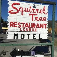 Squirrel Tree Resort，位于Merritt的酒店