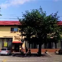 索内酒店，位于锡比乌的酒店