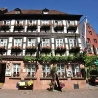 Wein-und Gasthof Zipf，位于米尔滕贝格的酒店
