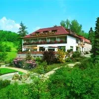 Hotel Wiesengrund，位于Lindenfels的酒店