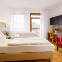 Hotel Spitzenpfeil,位于Michelau的酒店