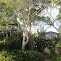 Treehouse Cottage，位于克拉格斯的酒店