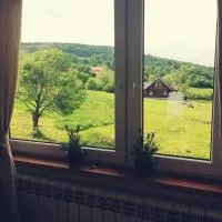 Pokoje goscinne u Olguni，位于Chyrowa的酒店