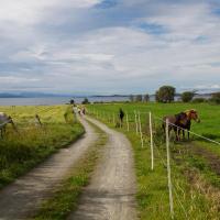 Kårstua - Austrått Agroturisme，位于Austrått奥兰德机场 - OLA附近的酒店