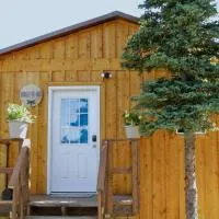 Arctic Dragonfly Inn,位于希利的酒店