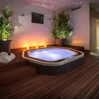 Hôtel Le Rive Droite & SPA，位于卢尔德的酒店