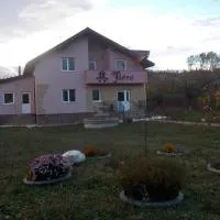 Casa Floro，位于Comăneşti的酒店