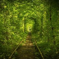 Hotel Tunnel of Love，位于克列巴尼的酒店