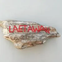 Lae Tawan Bungalow，位于昌岛的酒店