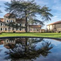 Château de Maumusson,位于Maumusson-Laguian的酒店