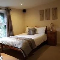 Swinford Bridge Street Apartment,位于斯温福德的酒店