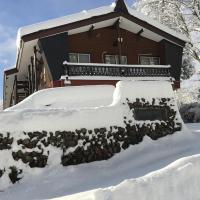 Myoko Ski Lodge in Akakura Village，位于妙高赤仓温泉的酒店