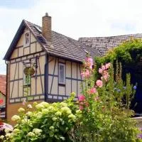 Landhotel Nonnenroth，位于Hungen的酒店