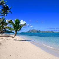 椰子海滩度假村，位于Tavewa的酒店