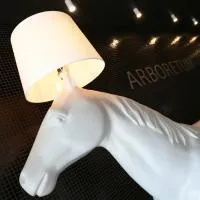 Arboretum Hotel，位于Wolbórz的酒店