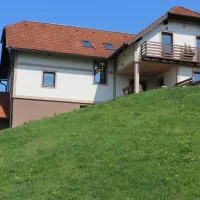 Vdovič Guest House，位于Svečina的酒店
